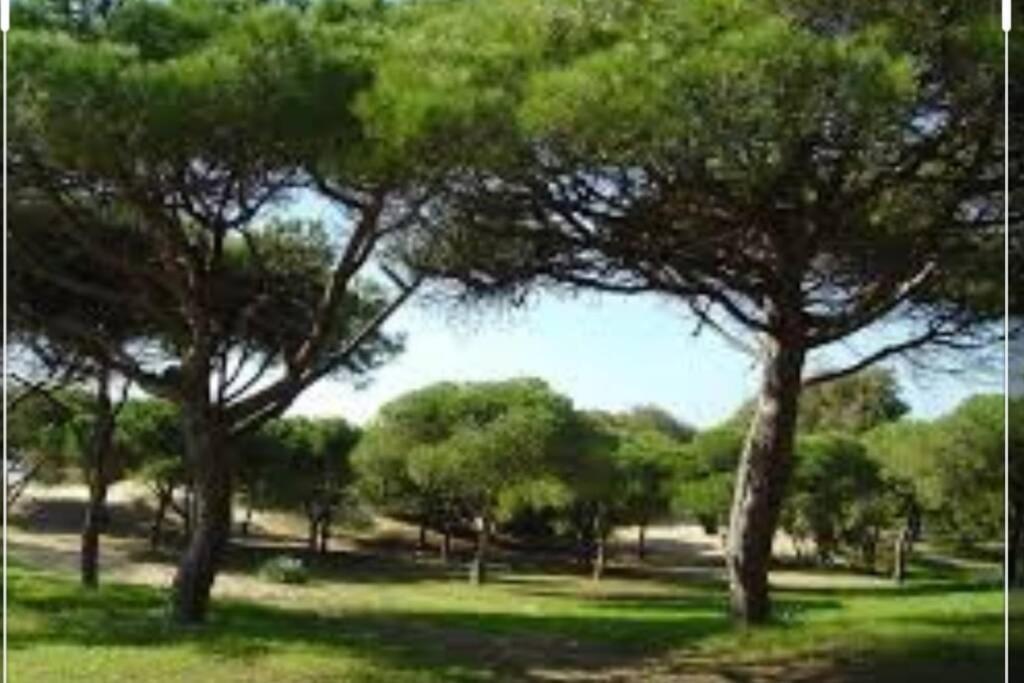 Acogedor Apartamento A 100 M. De Pinares Y Playa Apartment Рота Екстериор снимка