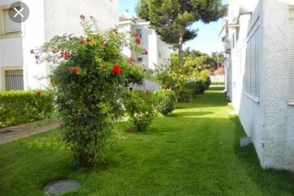 Acogedor Apartamento A 100 M. De Pinares Y Playa Apartment Рота Екстериор снимка