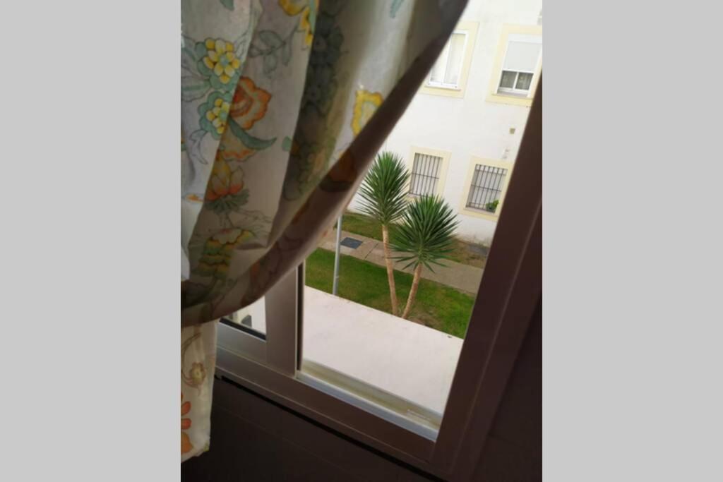 Acogedor Apartamento A 100 M. De Pinares Y Playa Apartment Рота Екстериор снимка
