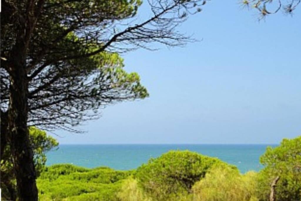 Acogedor Apartamento A 100 M. De Pinares Y Playa Apartment Рота Екстериор снимка